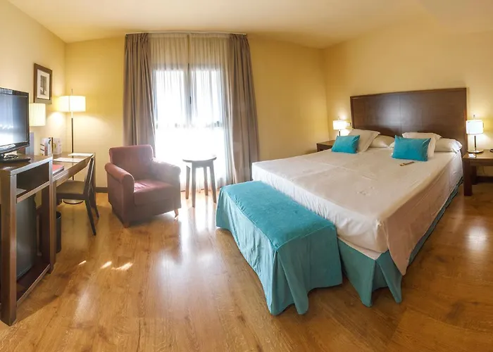 ホテル Gran Ciudad De 4*